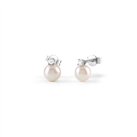 Orecchini Bliss Donna BL PARADISE NEW in Oro bianco Perla 0.02 Ct 20106367 - 20106367